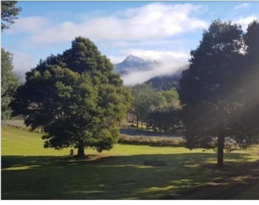 National Park Russell Falls Holiday Cottages מראה חיצוני תמונה