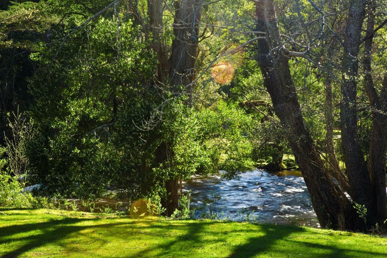 National Park Russell Falls Holiday Cottages מראה חיצוני תמונה