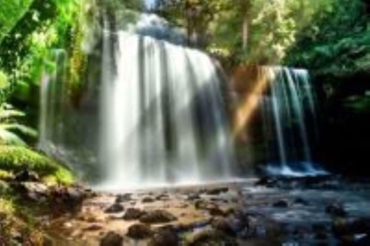 National Park Russell Falls Holiday Cottages מראה חיצוני תמונה