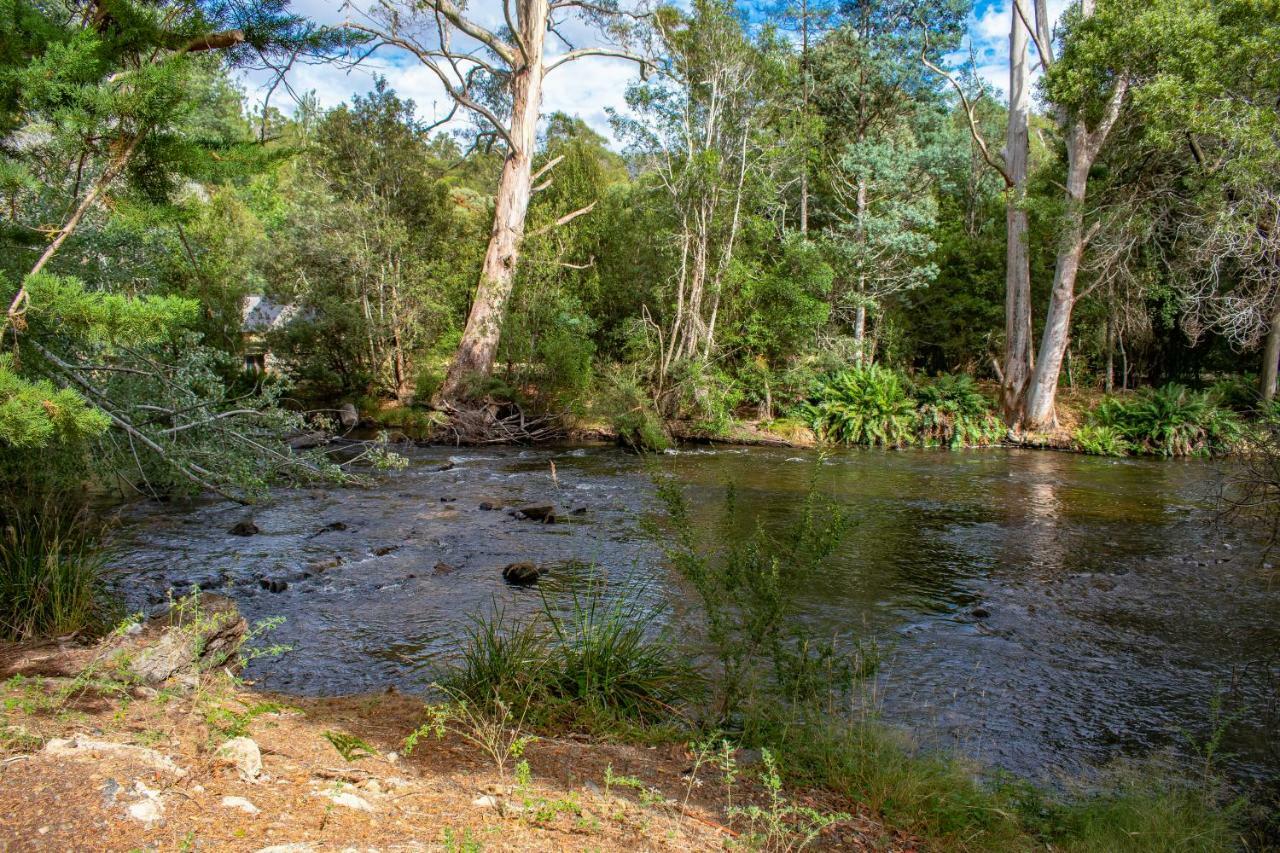 National Park Russell Falls Holiday Cottages מראה חיצוני תמונה